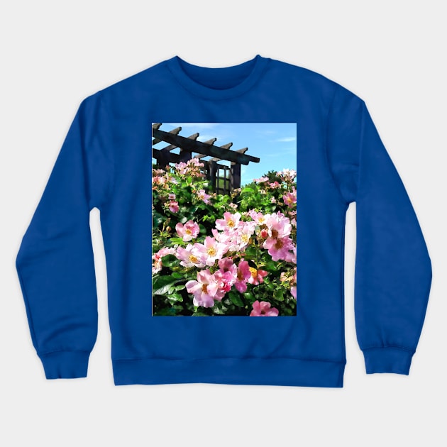 Pink Roses Near Trellis Crewneck Sweatshirt by SusanSavad